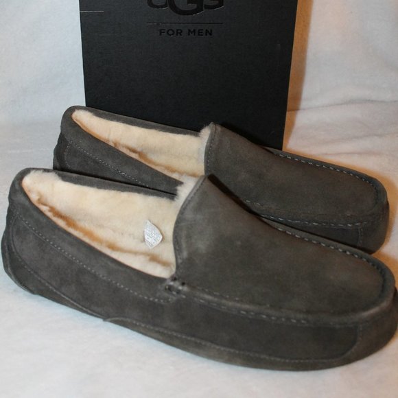 UGG MEN'S NIB ASCOT SUEDE‎ SHEARLING SLIPPERS - Picture 1 of 8